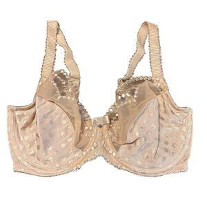 Wacoal Spot On Polka Dot Beige Bra 32DD Underwire Lace Detail Adjustable Straps